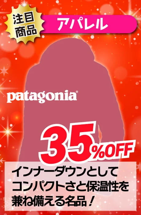 35％OFF Patagonia インナーダウン