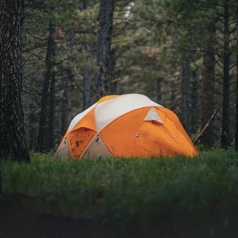 MINIMAL WORKS(ミニマルワークス) GUAVA 3