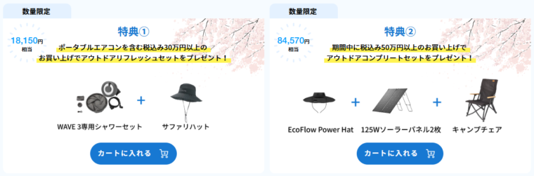 EcoFlow(エコフロー) 初夏のアウトドア応援セールの購入特典