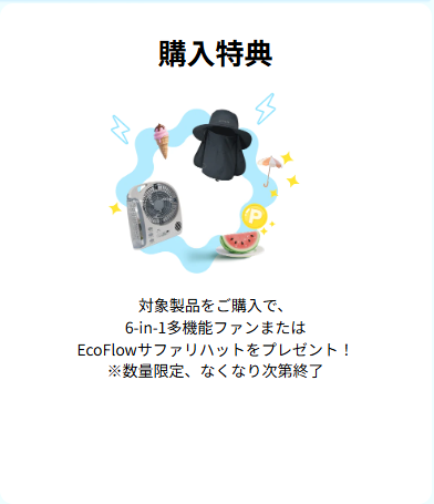 EcoFlow(エコフロー) 夏の快適応援セールの購入特典
