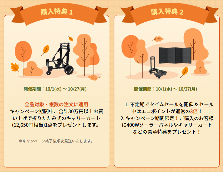 EcoFlow(エコフロー) 秋の大感謝祭セールの購入特典